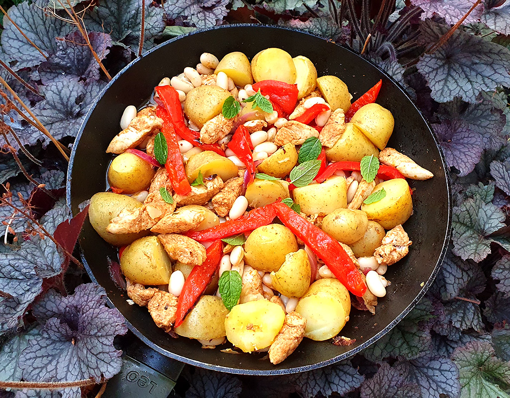 Warm potato, chicken and bean salad