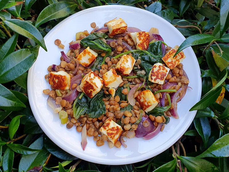 Lentil, halloumi and spinach salad