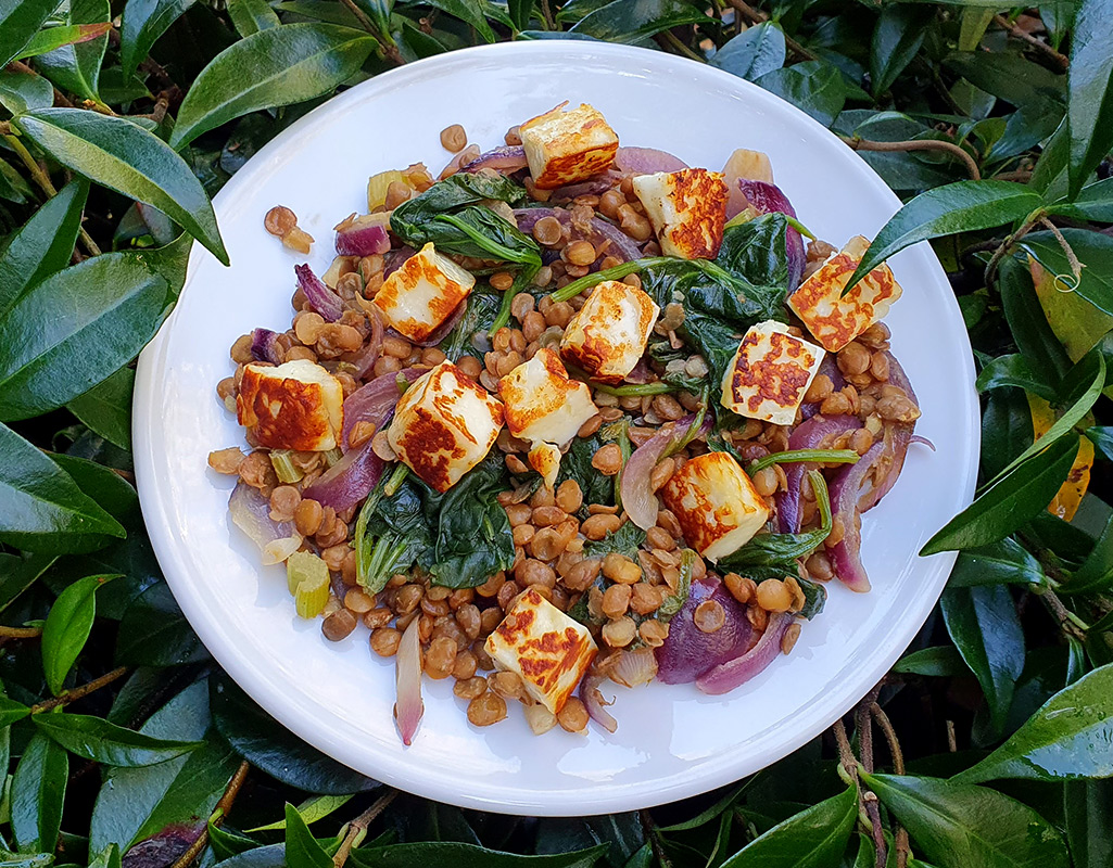 Lentil, halloumi and spinach salad