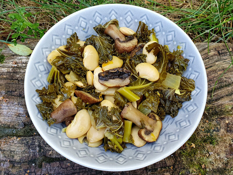 Sauteed mushrooms, kale and beans