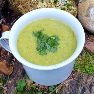 Spiced broccoli, leek and chickpea soup