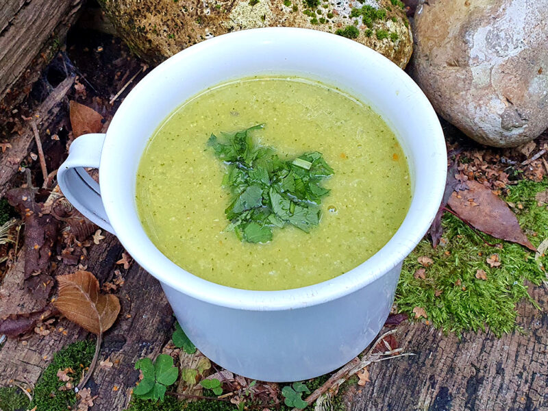 Spiced broccoli, leek and chickpea soup