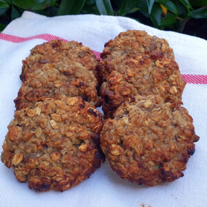 Vegan oat bar cookies