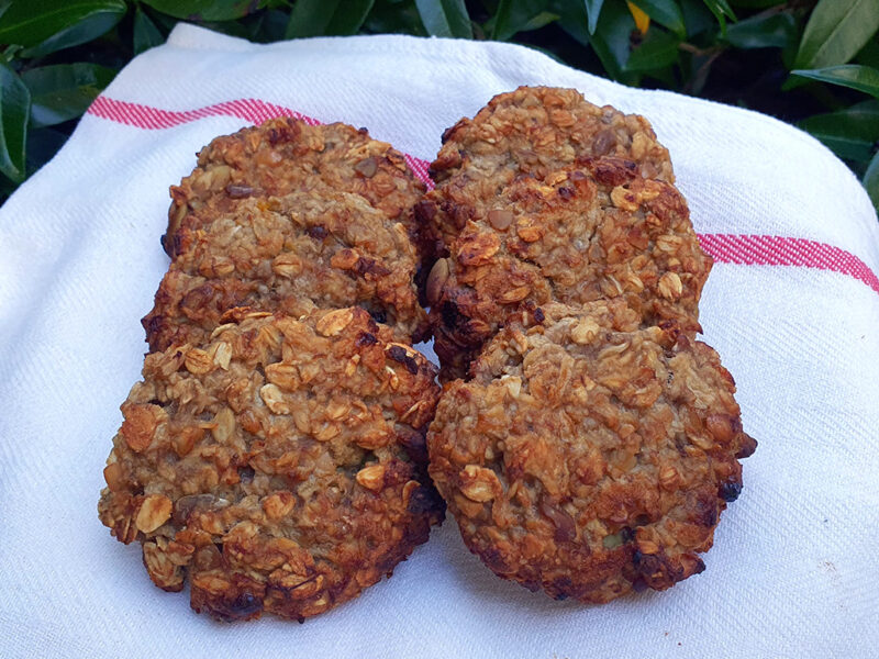 Vegan oat bar cookies