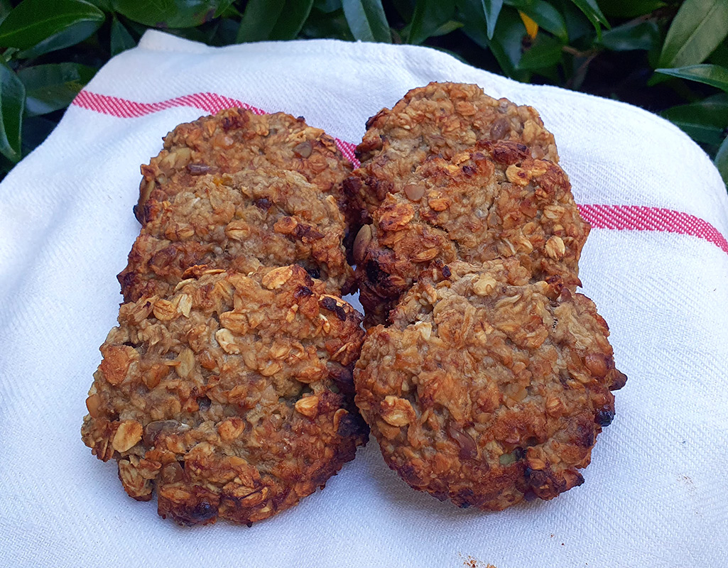 Vegan oat bar cookies