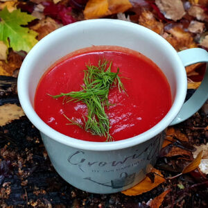 Beetroot and swede soup