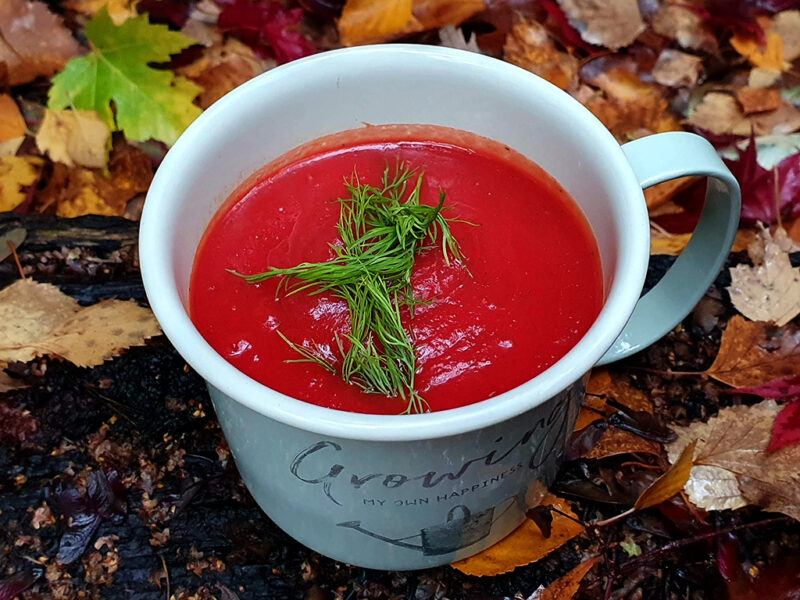 Beetroot and swede soup