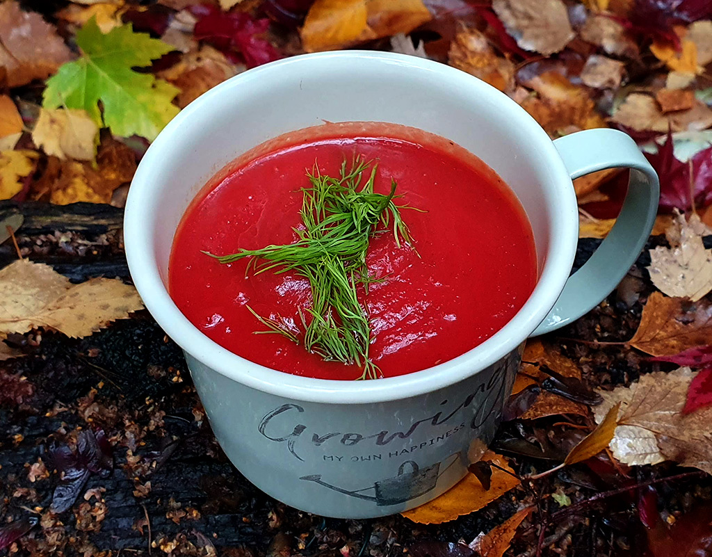 Beetroot and swede soup