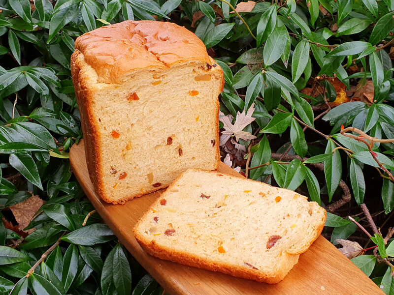 Ginger and apricot panettone