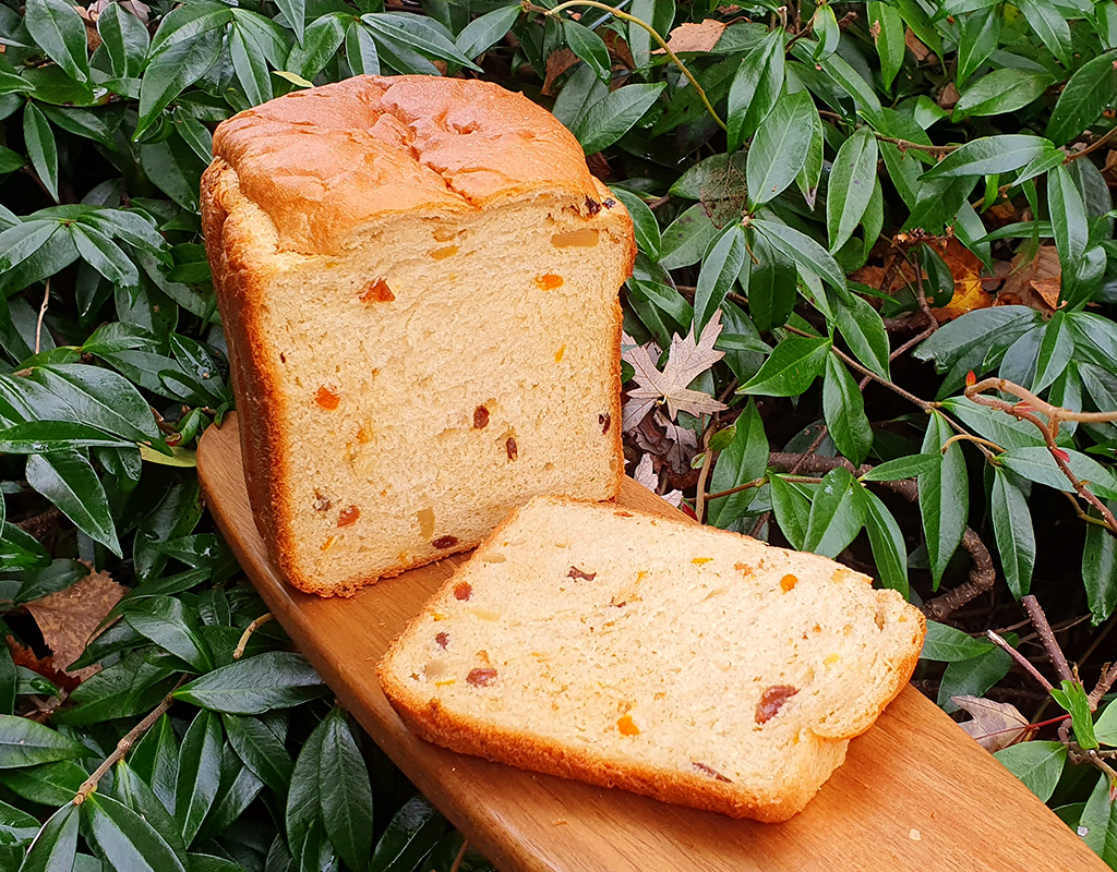 Ginger and apricot panettone