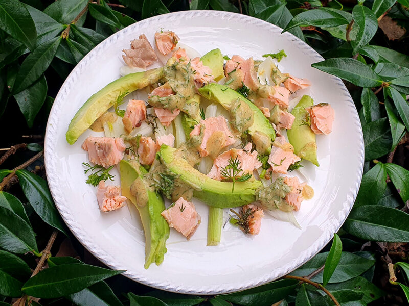 Salmon, avocado and pickled chicory salad