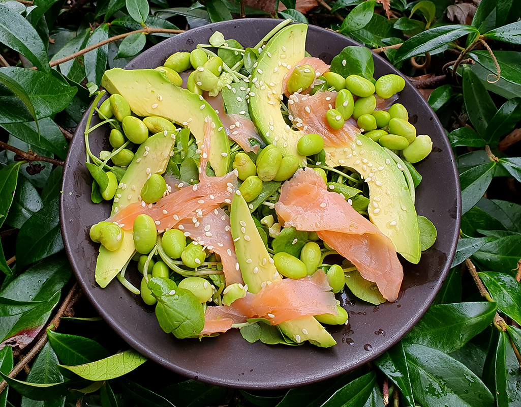 Smoked salmon, edamame beans and avocado salad