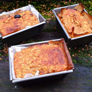 Carrot and oat mini loafs