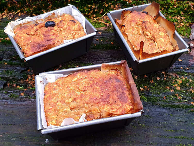 Carrot and oat mini loafs