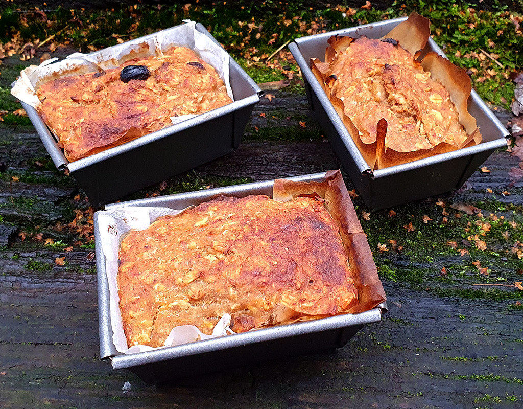 Carrot and oat mini loafs