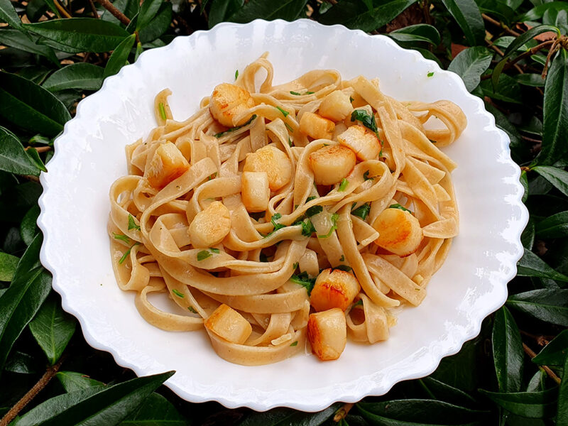 Scallop pasta