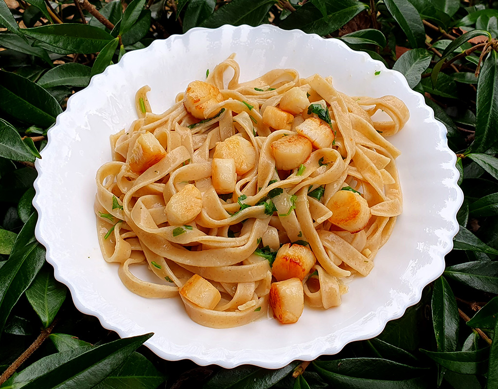 Scallop pasta