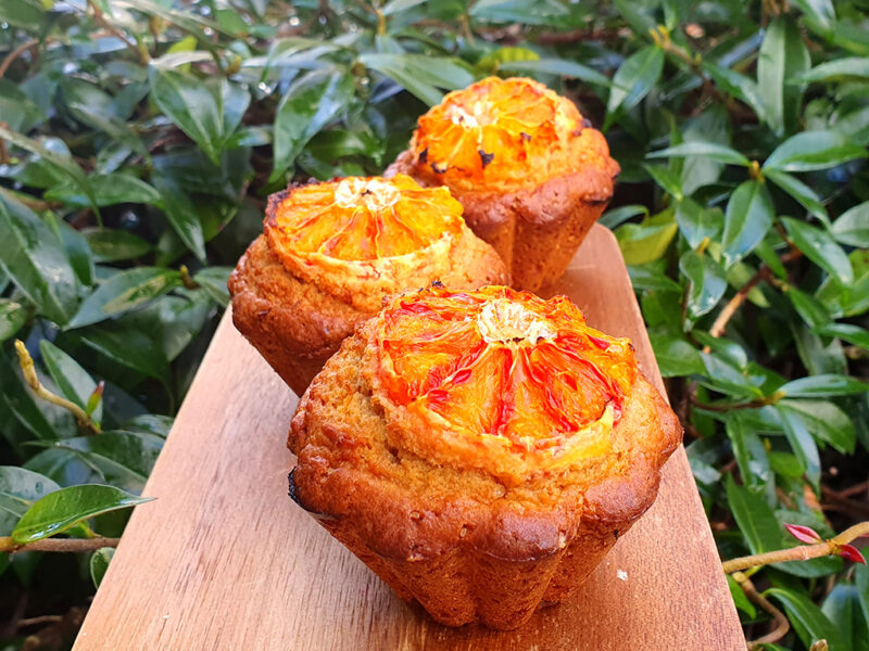 Blood orange spelt muffins