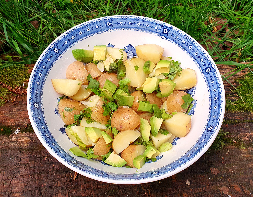 Garlic potatoes with avocado