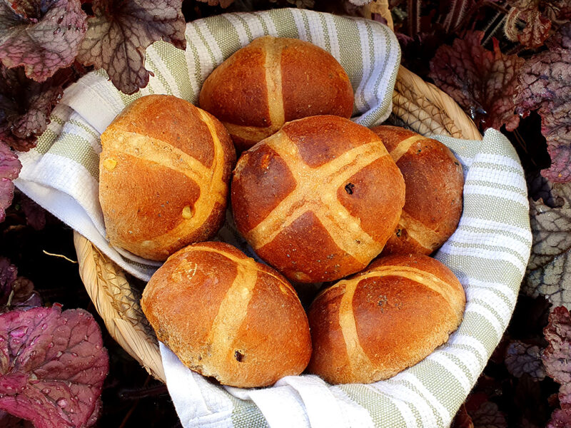 Hot cross buns with sour cherries and poppy seeds