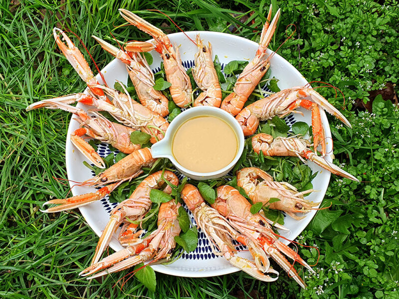 Langoustine in orange and ginger sauce