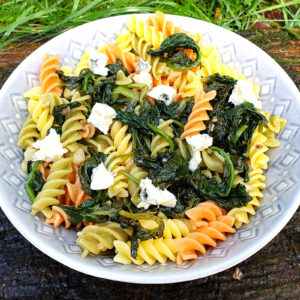 Pasta with garlic anchovy and spinach