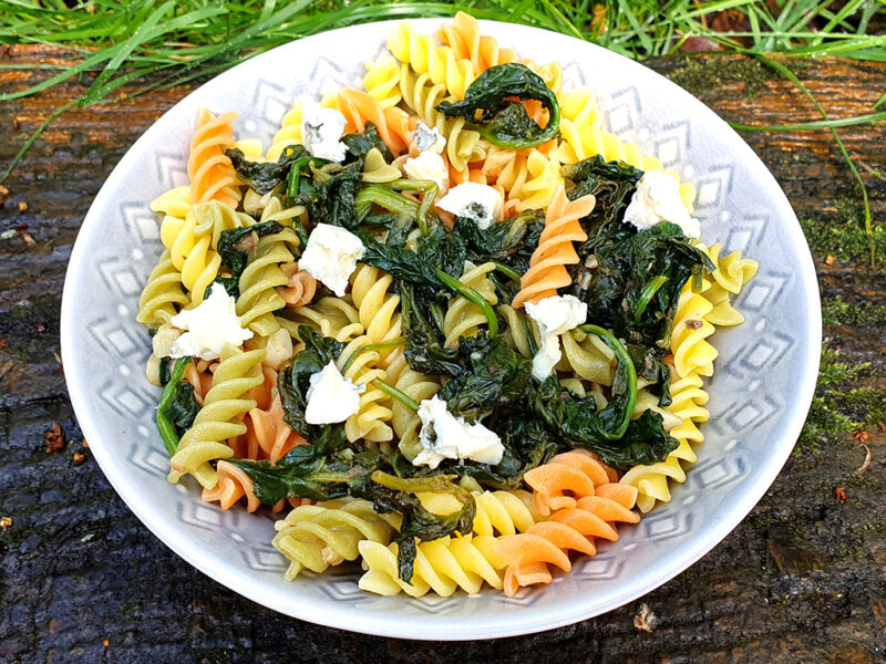 Pasta with garlic anchovy and spinach