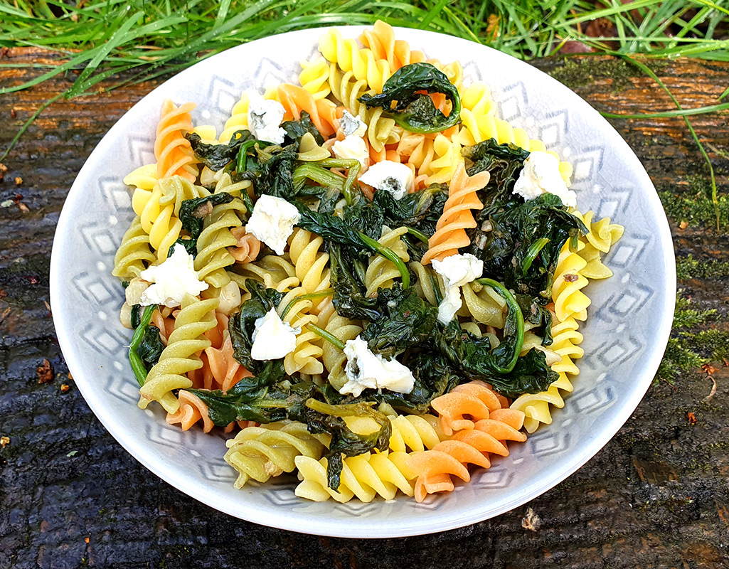 Pasta with garlic anchovy and spinach