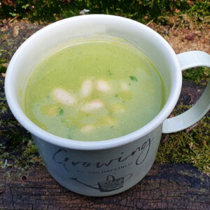 Spiced broccoli and parsnip soup with beans