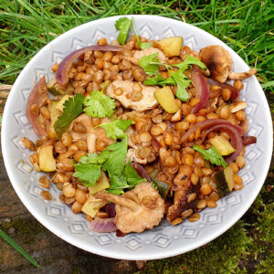 Sauteed shiitake and courgette with lentils