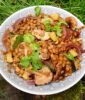 Sauteed shiitake and courgette with lentils