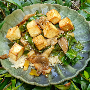 Teriyaki shiitake and tofu noodles