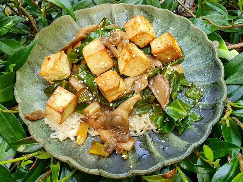 Teriyaki shiitake and tofu noodles