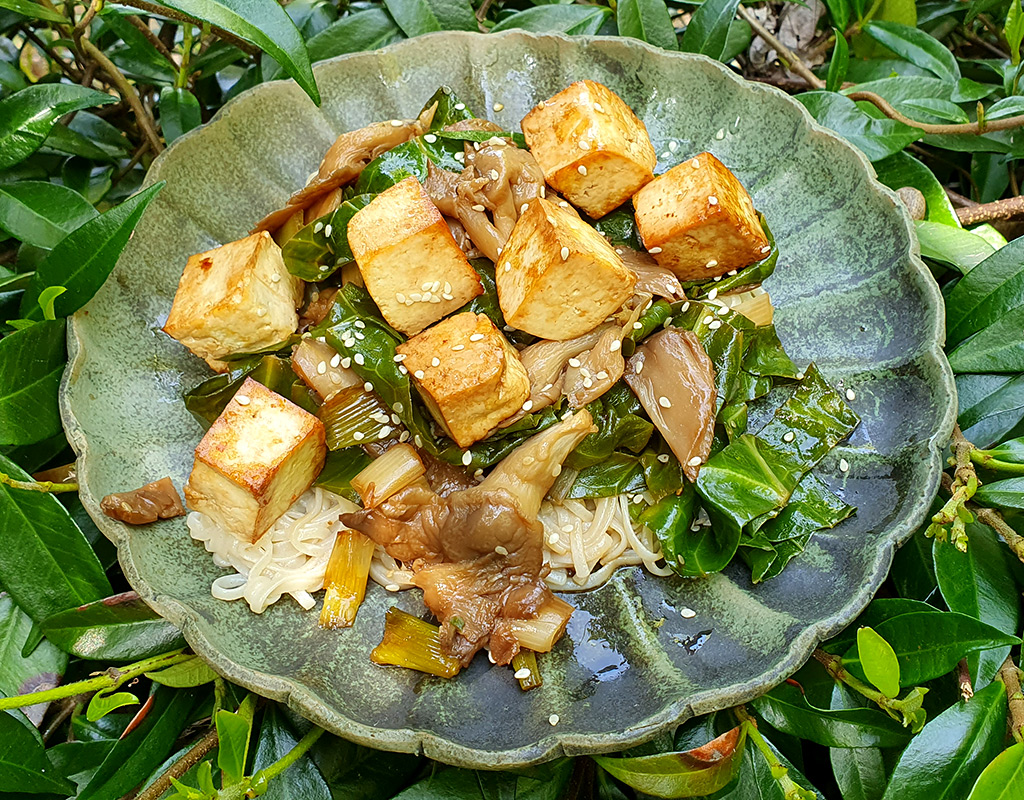 Teriyaki shiitake and tofu noodles