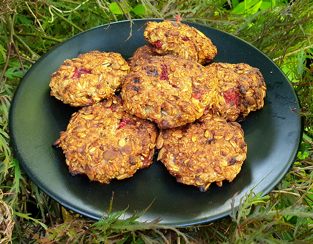 Raspberry oat cookies