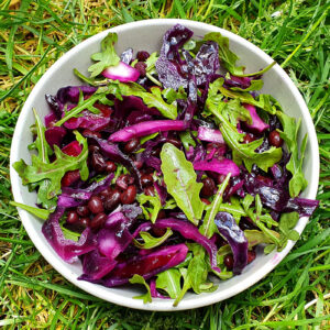 Red cabbage and black beans salad