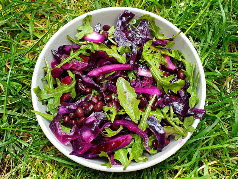 Red cabbage and black beans salad