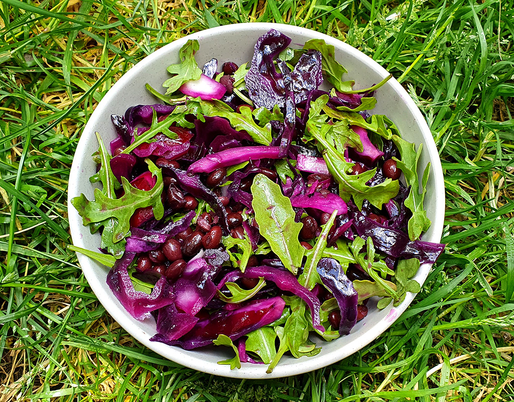 Red cabbage and black beans salad