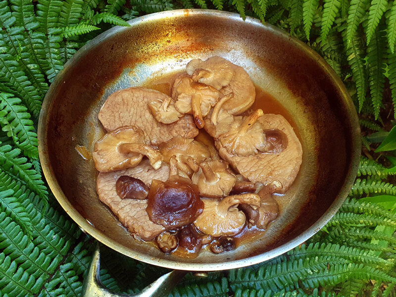 Teriyaki pork loin with shiitake