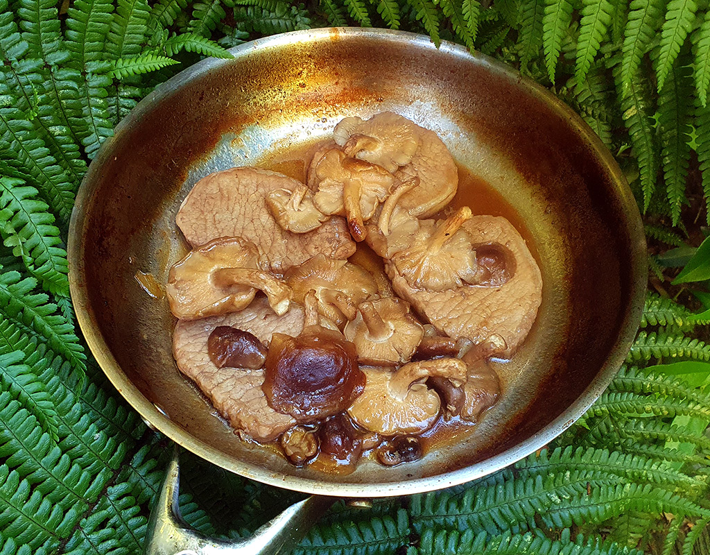 Teriyaki pork loin with shiitake