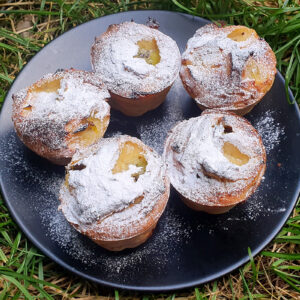 Gluten-free coconut and kiwi muffins