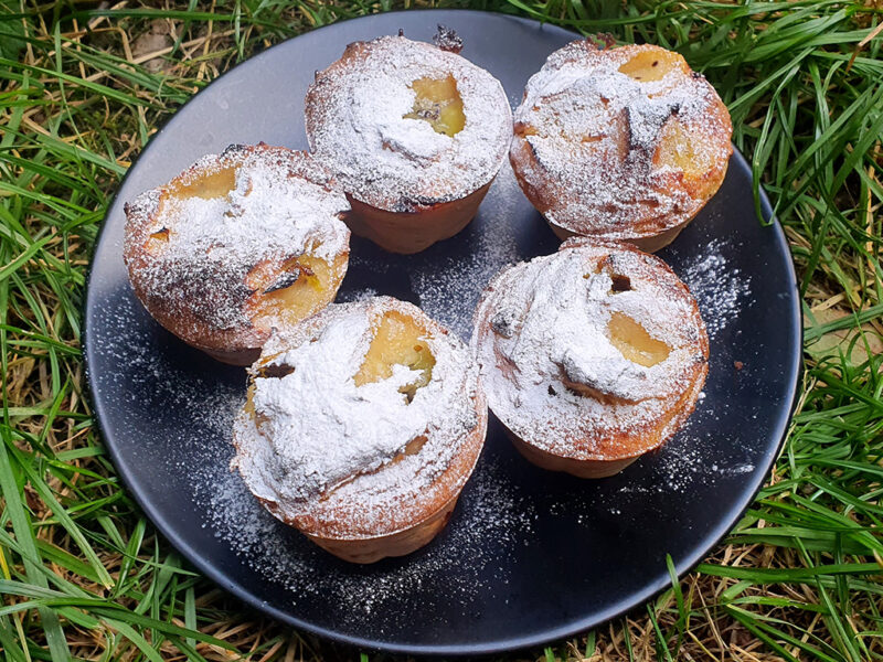 Gluten-free coconut and kiwi muffins