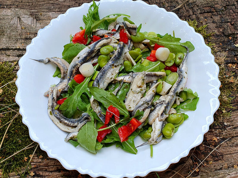 Anchovy and broad beans salad