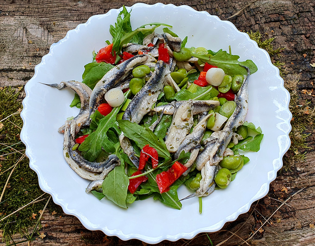 Anchovy and broad beans salad