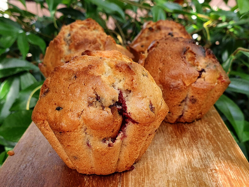 Blackberry and yoghurt muffins