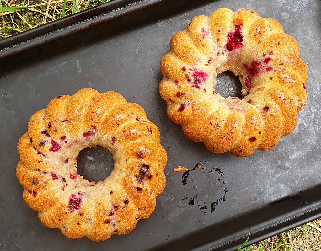 Mini blackberry bundt cakes