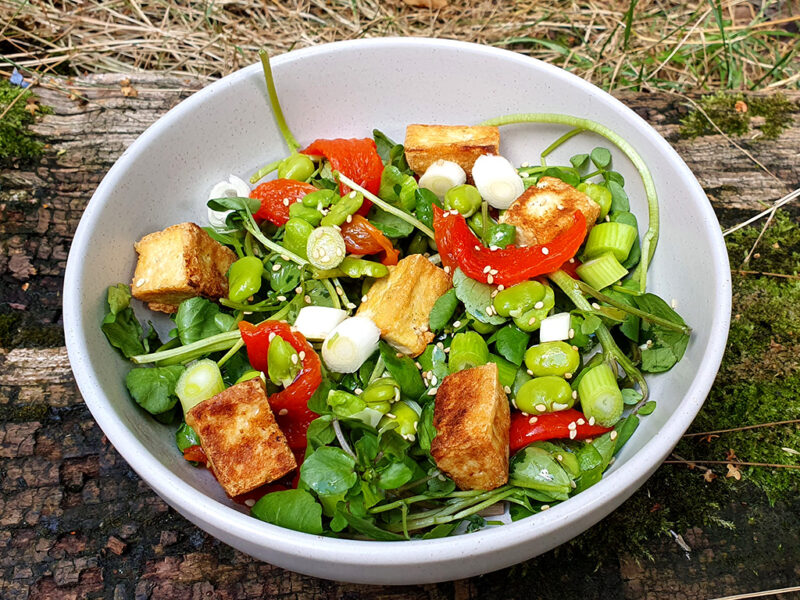 Watercress and bean salad with crispy tofu