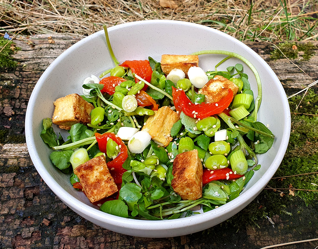 Watercress and bean salad with crispy tofu