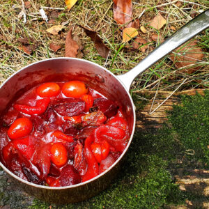 Balsamic tomato sauce with roasted beetroot