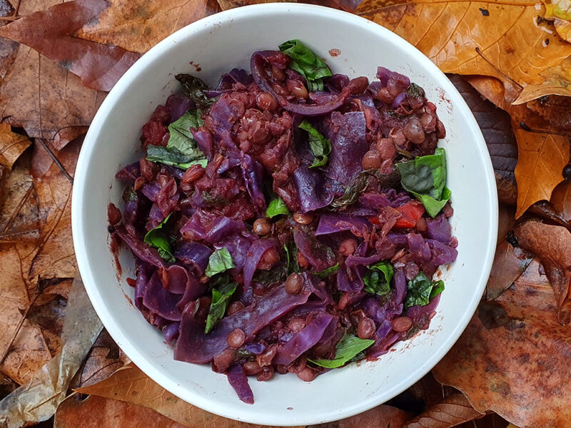 Red cabbage and lentil stew